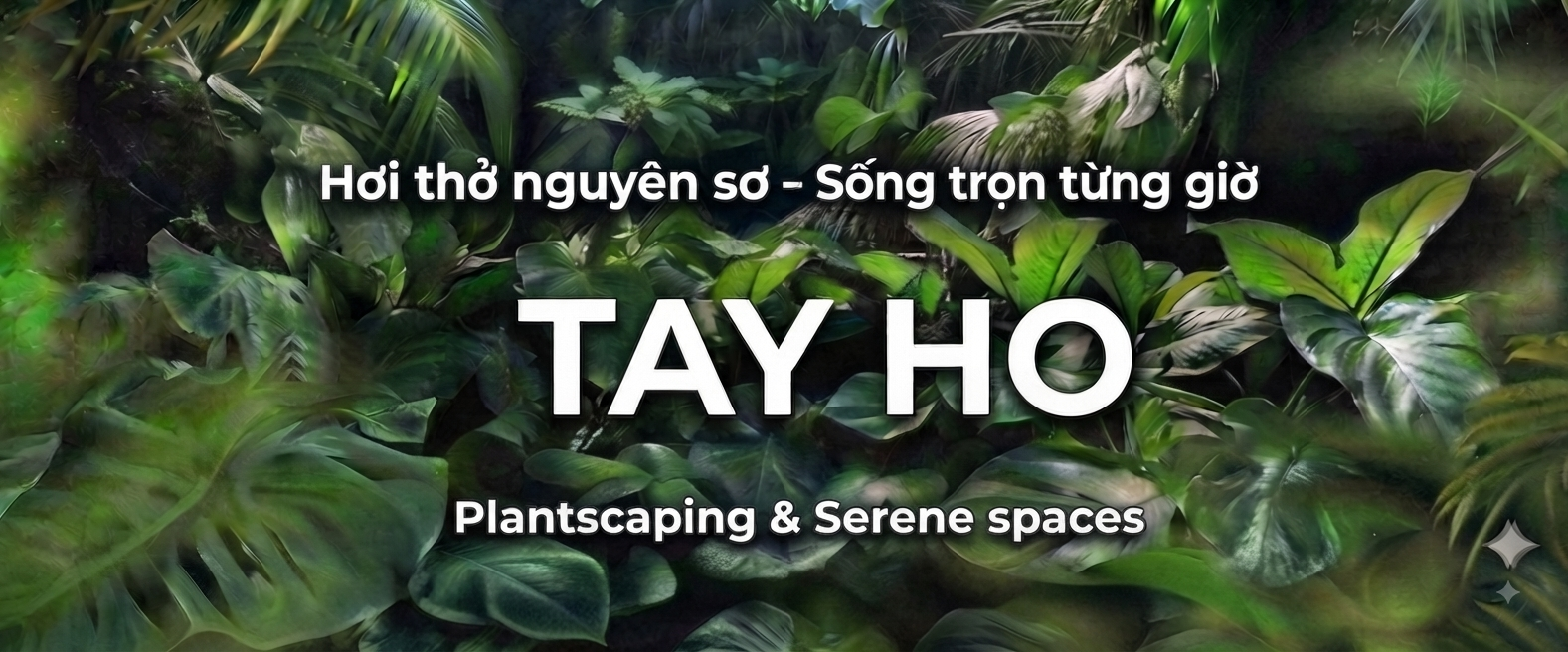 Banner Tay Ho
